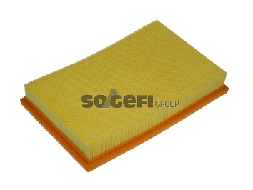 

Воздушный фильтр FRAM, панельный для Seat (CA9015), 0