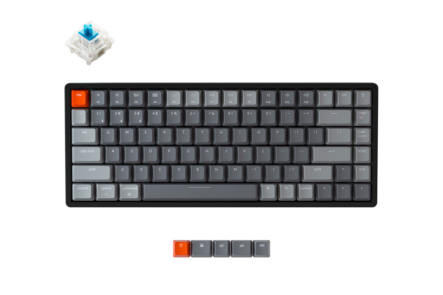 Клавиатура проводное/беспроводное Keychron K2, механическая, Gateron Blue, подсветка, Bluetooth / USB, черный (K2C2)