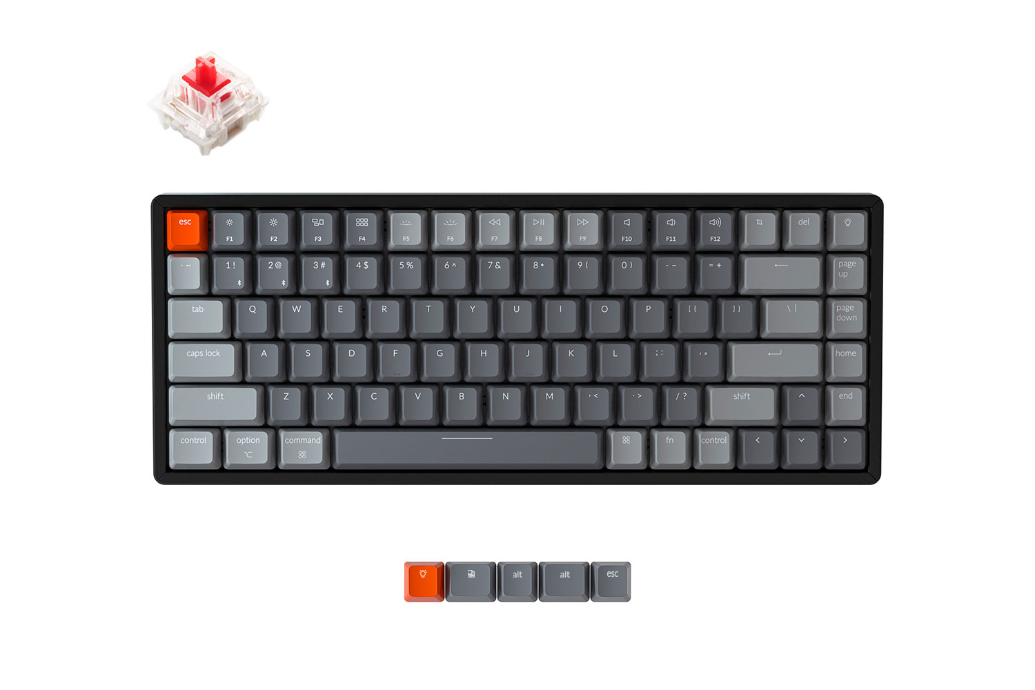 

Клавиатура проводное/беспроводное Keychron K2, механическая, Gateron Red, подсветка, Bluetooth / USB, черный (K2С1), K2
