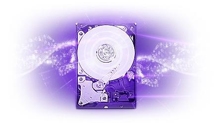 Жесткий диск (HDD) Western Digital 1Tb Purple (WD10PURX)