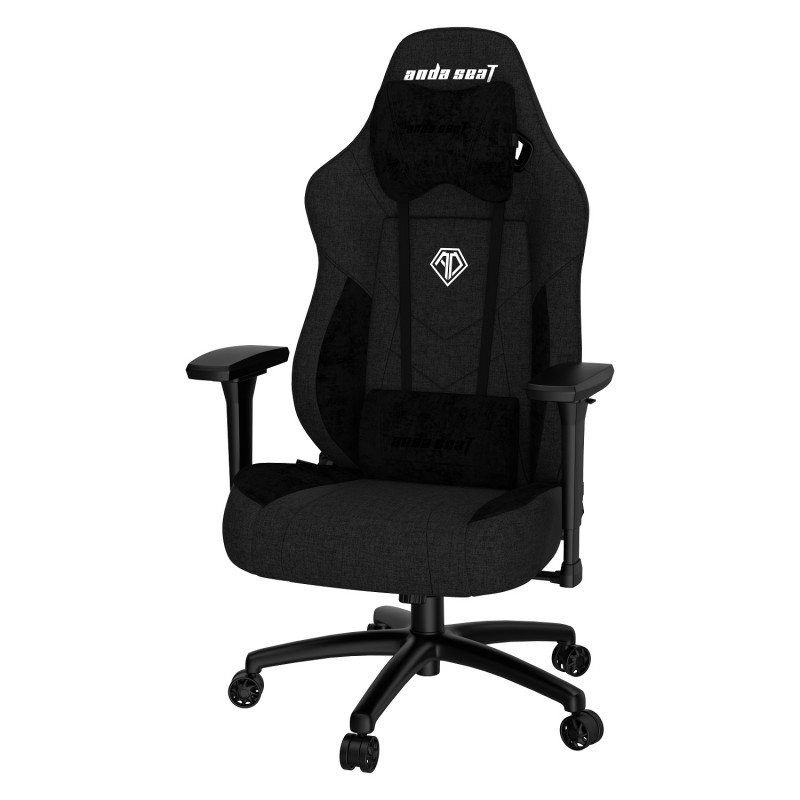 Кресло игровое Anda Seat T Compact, черный (AD19-01-B-F)