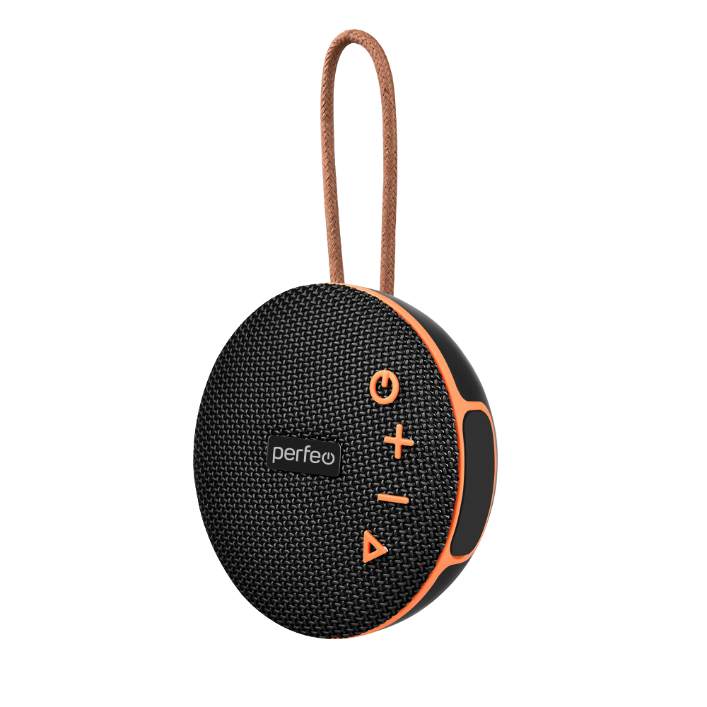 

Акустика портативная Perfeo POP, 6 Вт, FM, AUX, USB, microSD, Bluetooth, черный (PF_B4910), POP