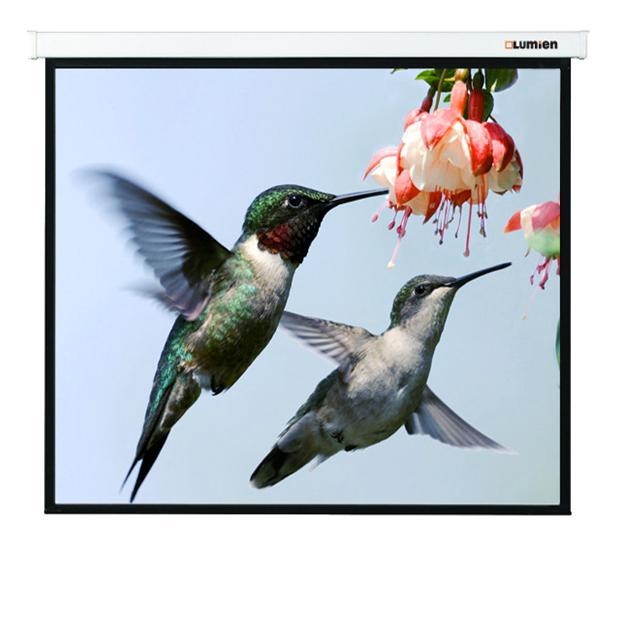 Экран для проектора Lumien Master Picture 1:1 180x180