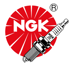 

Свеча зажигания NGK 96024, 1 шт. (ILKAR8H6), 96024