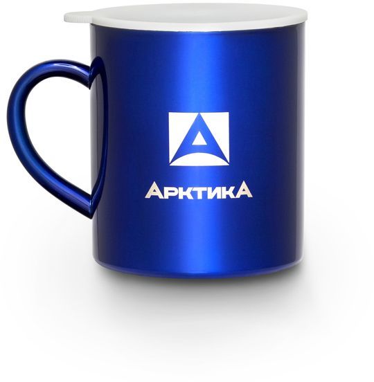 

Термокружка АРКТИКА 802-300, 300мл, корпус сталь/колба сталь, синий (802-300/BLU), 802-300