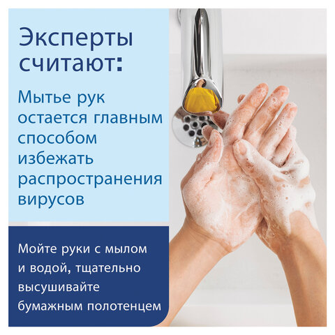 

Дозатор для жидкого мыла LAIMA BASIC, пластик, 380 мл, белый/синий (603921)