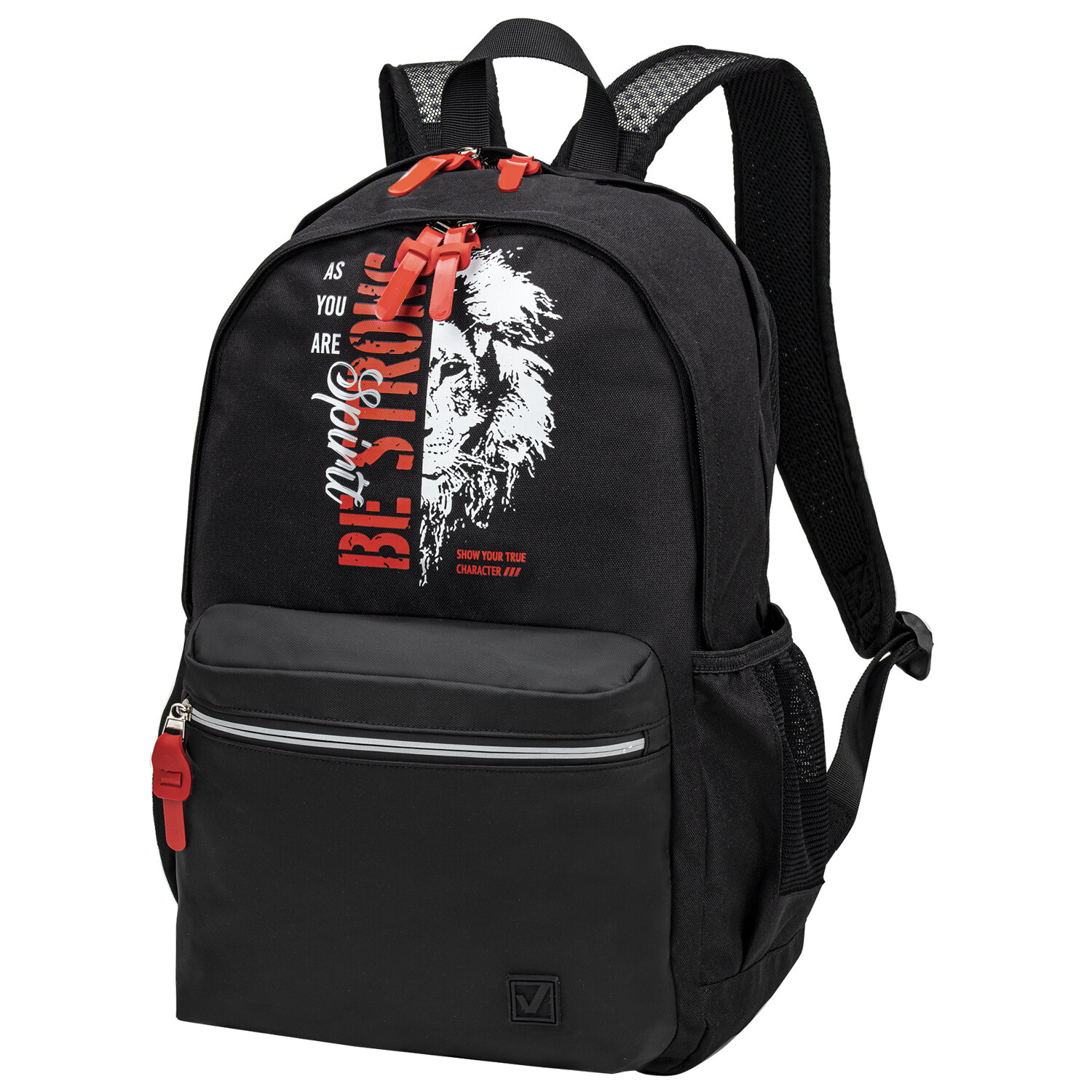 

Рюкзак Brauberg FASHION CITY Lion, 2 отделения, черный (270810)