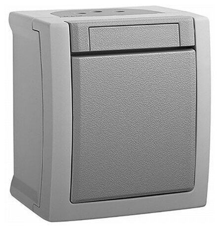 

Выключатель Panasonic Pacific, 1кл., открытый монтаж, в сборе, серый (WPTC40092GR-RU)