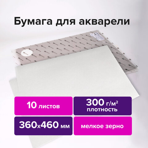 Альбом для рисования 10 листов, 360х460 мм 113227