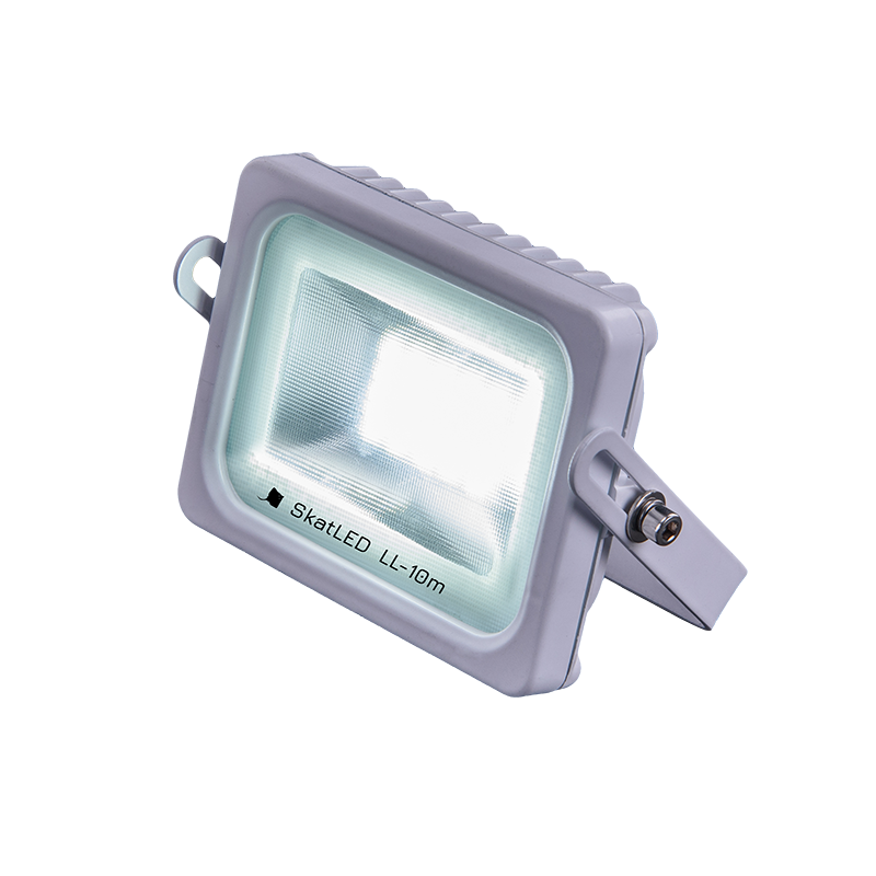 Светильник уличный светодиодный SkatLED , 10Вт, 1000лм, IP65, Бастион (LL-10m )