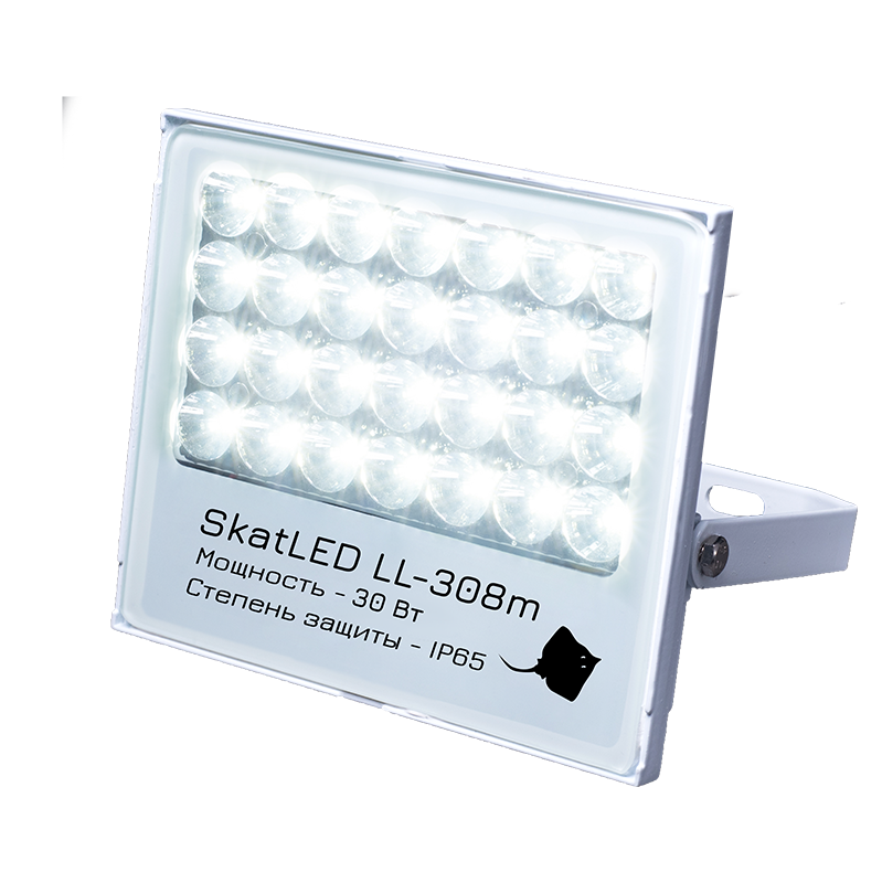 Светильник уличный светодиодный SkatLED , 30Вт, 5500К, 3000лм, IP65, Бастион (LL-308m )