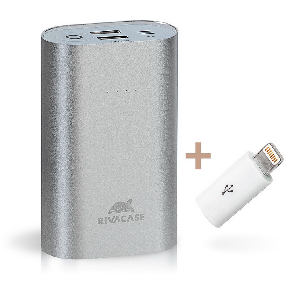 Портативный аккумулятор (Powerbank) RivaCase Rivapower VA1010, 10000mAh, 2xUSB, 2A, серебристый - фото 1