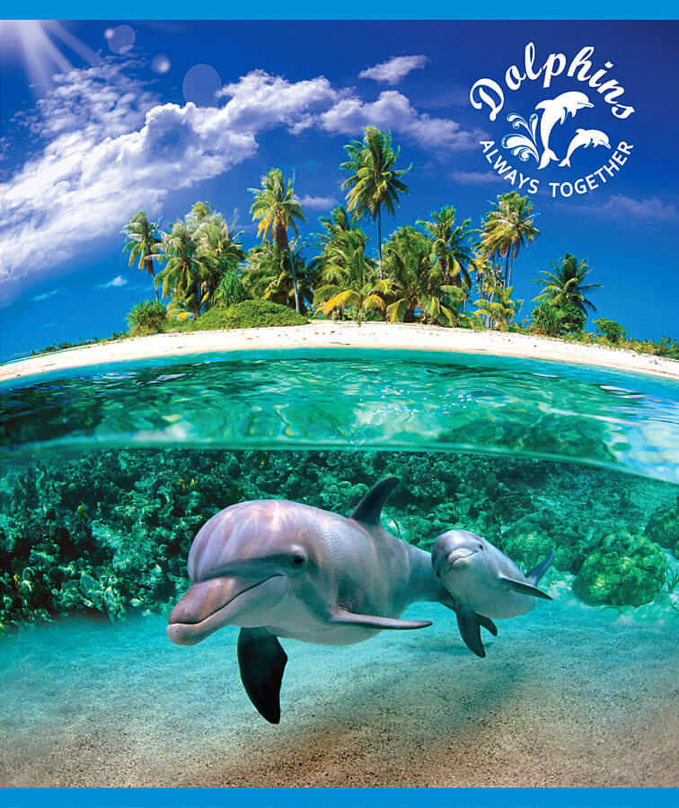 

Тетрадь клетка 48 листов, скрепка - Dolphins story ТО48К9548/6К (1527159), ТО48К9548/6К