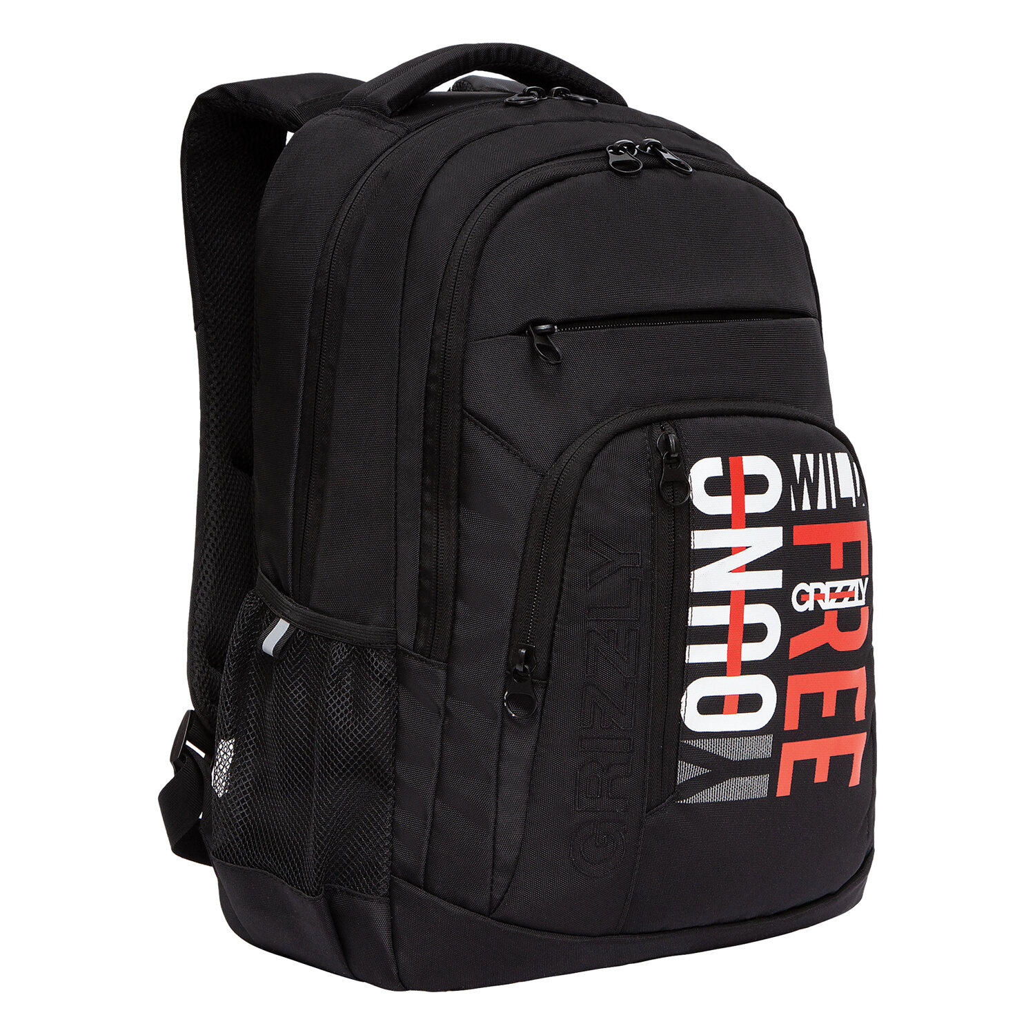 

Рюкзак GRIZZLY RU, анатомическая, вентилируемая спинка, 2 отделения, черный/красный (RU-236-2/1)