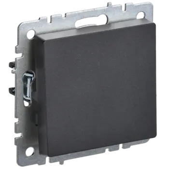 

Выключатель IEK Brite ВС10-1-0-БрЧ, 1кл., скрытый монтаж, механизм с накладкой без рамки, черный (BR-V10-0-10-K02), ВС10-1-0-БрЧ