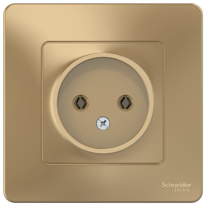 

Розетка Schneider Electric Blanca BLNRS000014, скрытый монтаж, однопостовая, 16A, в сборе, IP20, титан (BLNRS000014), BLNRS000014