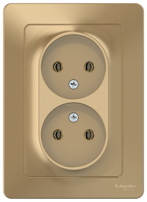 

Розетка Schneider Electric Blanca BLNRS000024, скрытый монтаж, 2-х постовая, 16A, в сборе, IP20, титан (BLNRS000024), BLNRS000024