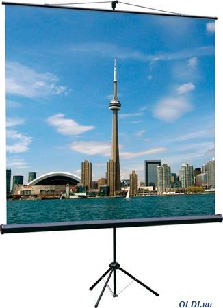 

Экран для проектора на штативе с возможностью настенного крепления Lumien Eco View 160x160 (LEV-100105), Eco View