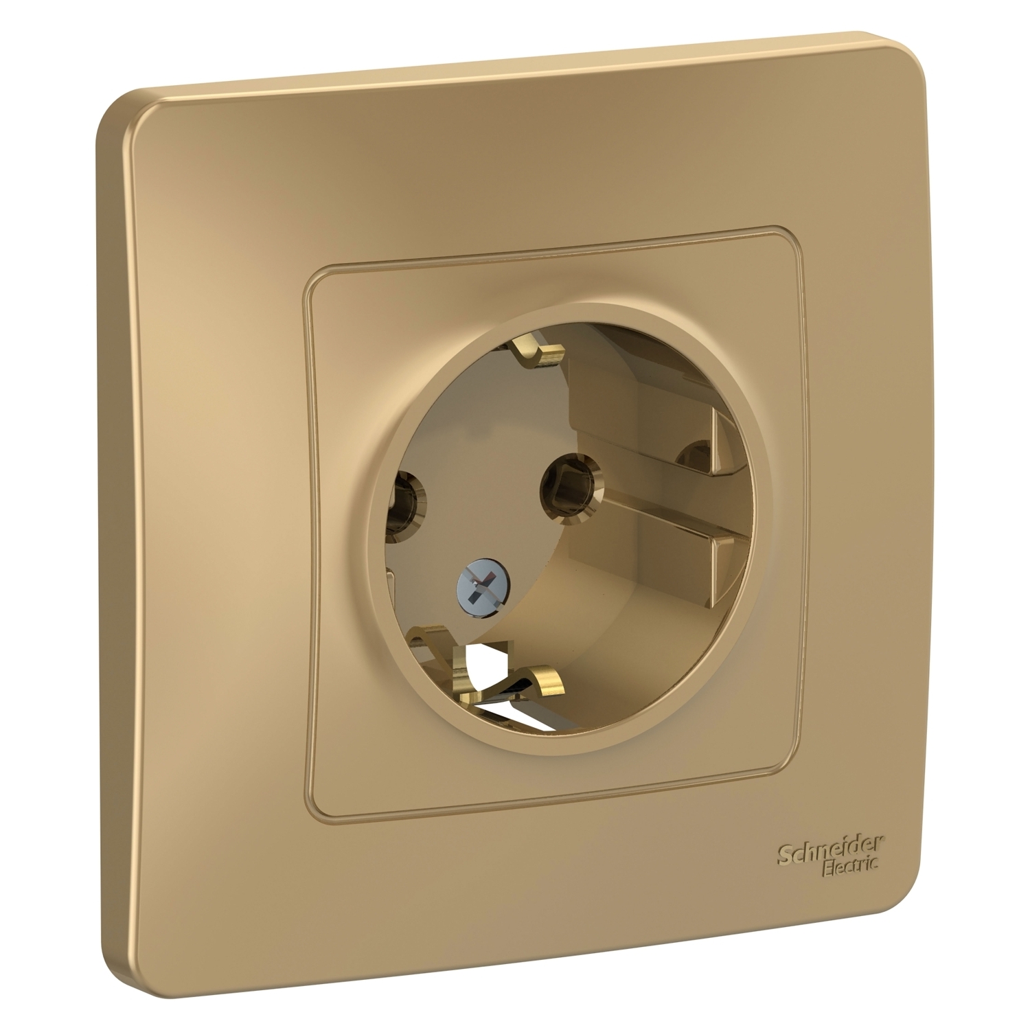 

Розетка Schneider Electric Blanca, скрытый монтаж, однопостовая, с з/к, 16A, в сборе, IP20, титан (BLNRS001014)
