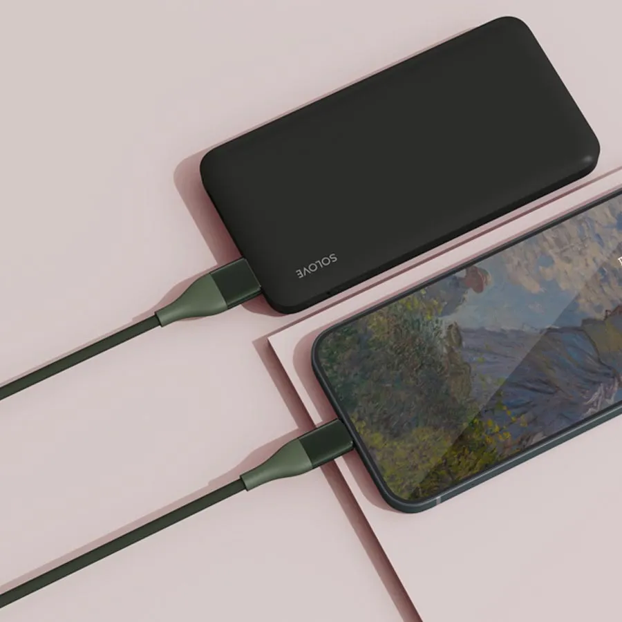 Кабель USB-USB Type-C, 1 м, зеленый Xiaomi ZMI DW3, 1095784 купить в  Новосибирске в интернет-магазине e2e4