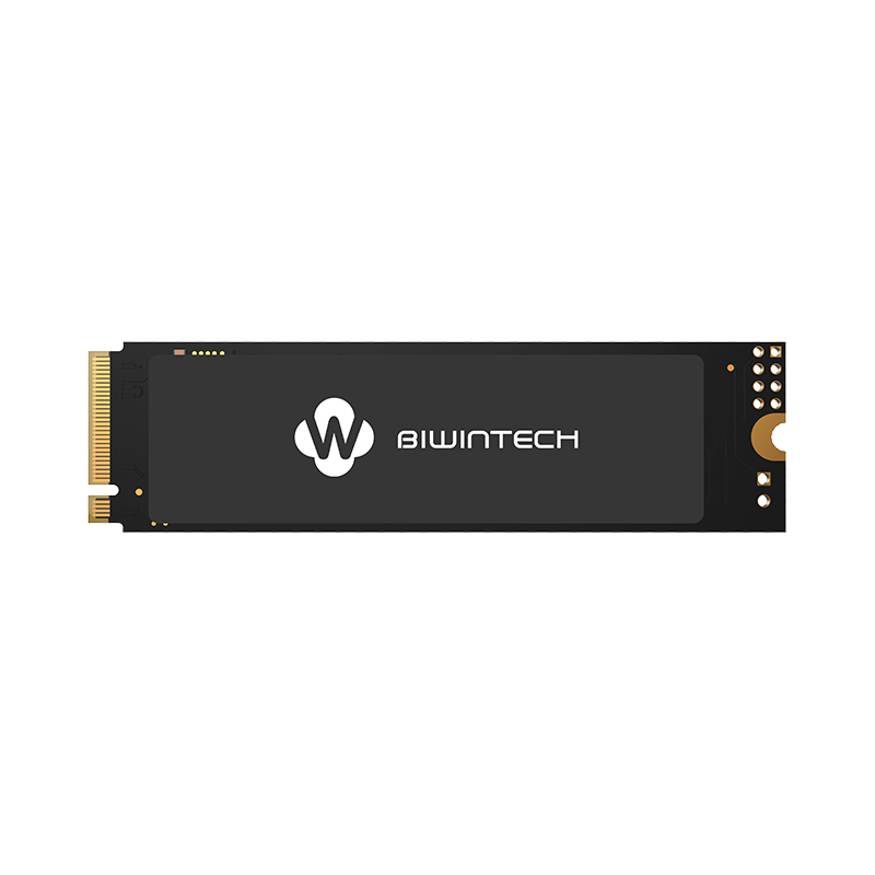 Твердотельный накопитель (SSD) BiwinTech 256Gb NX500 , 2280, M.2, NVMe (82P1B8#G) - фото 1