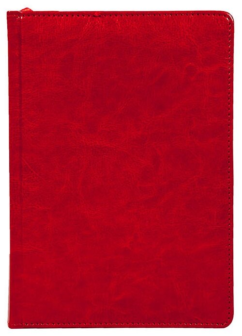 

Ежедневник недатированный A5 LITE CLASSIC, в линейку, 168 листов красный (DNBL-CLS5/R)