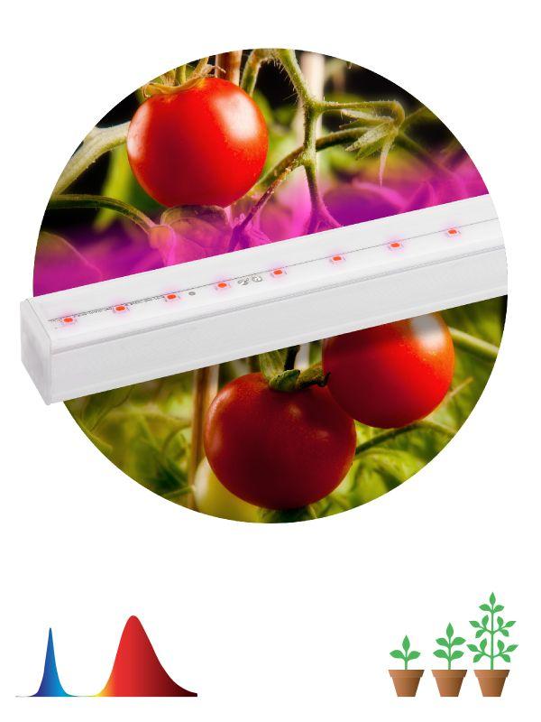 Светильник для растений светодиодный, свет: фиолетовый, 14Вт, IP20, для периода вегетации, ЭРА FITO Т5-N (Б0045232) - фото 1