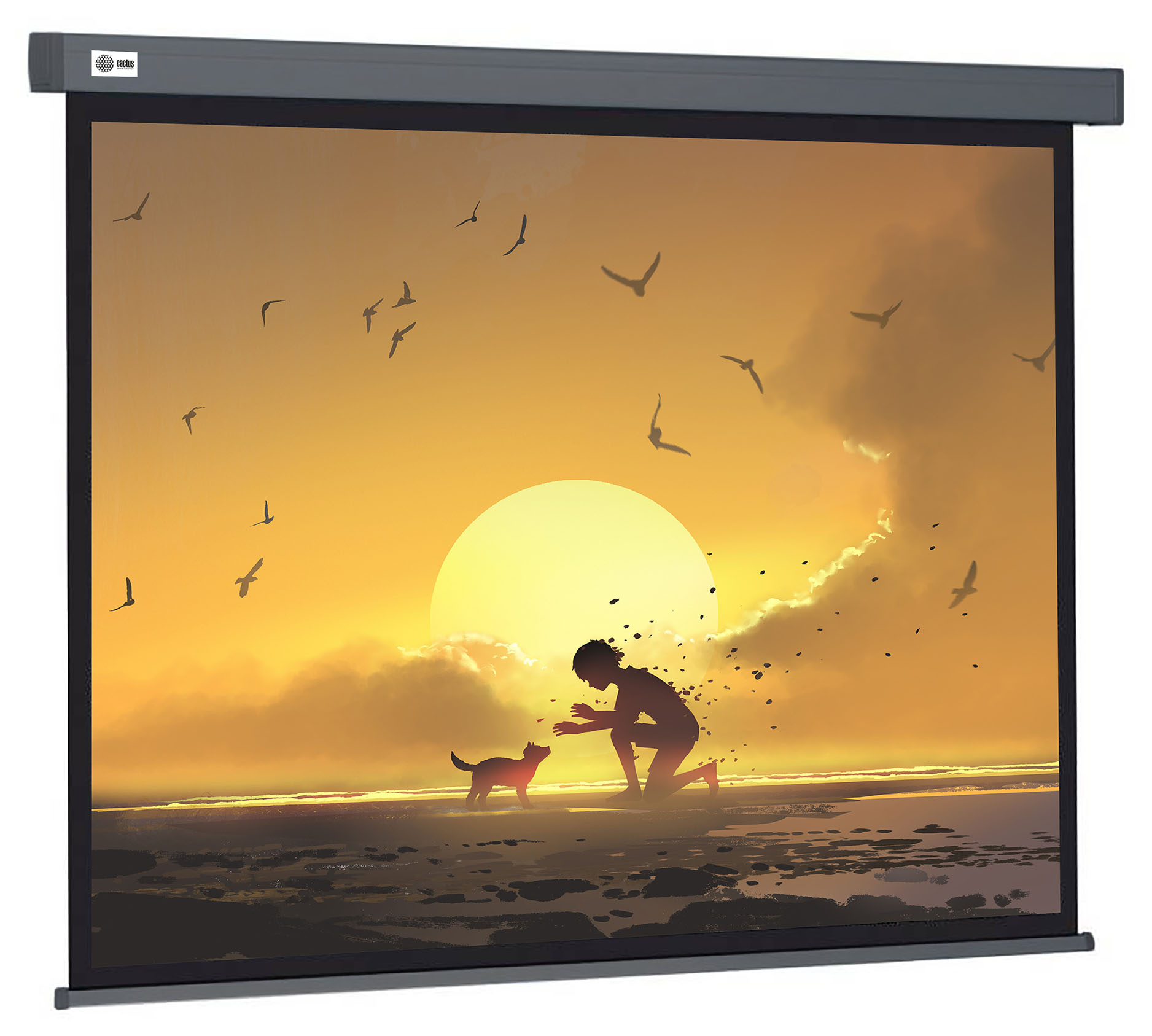 Экран для проектора Cactus CS-PSW-124X221-SG, 103" 16:9 124x221