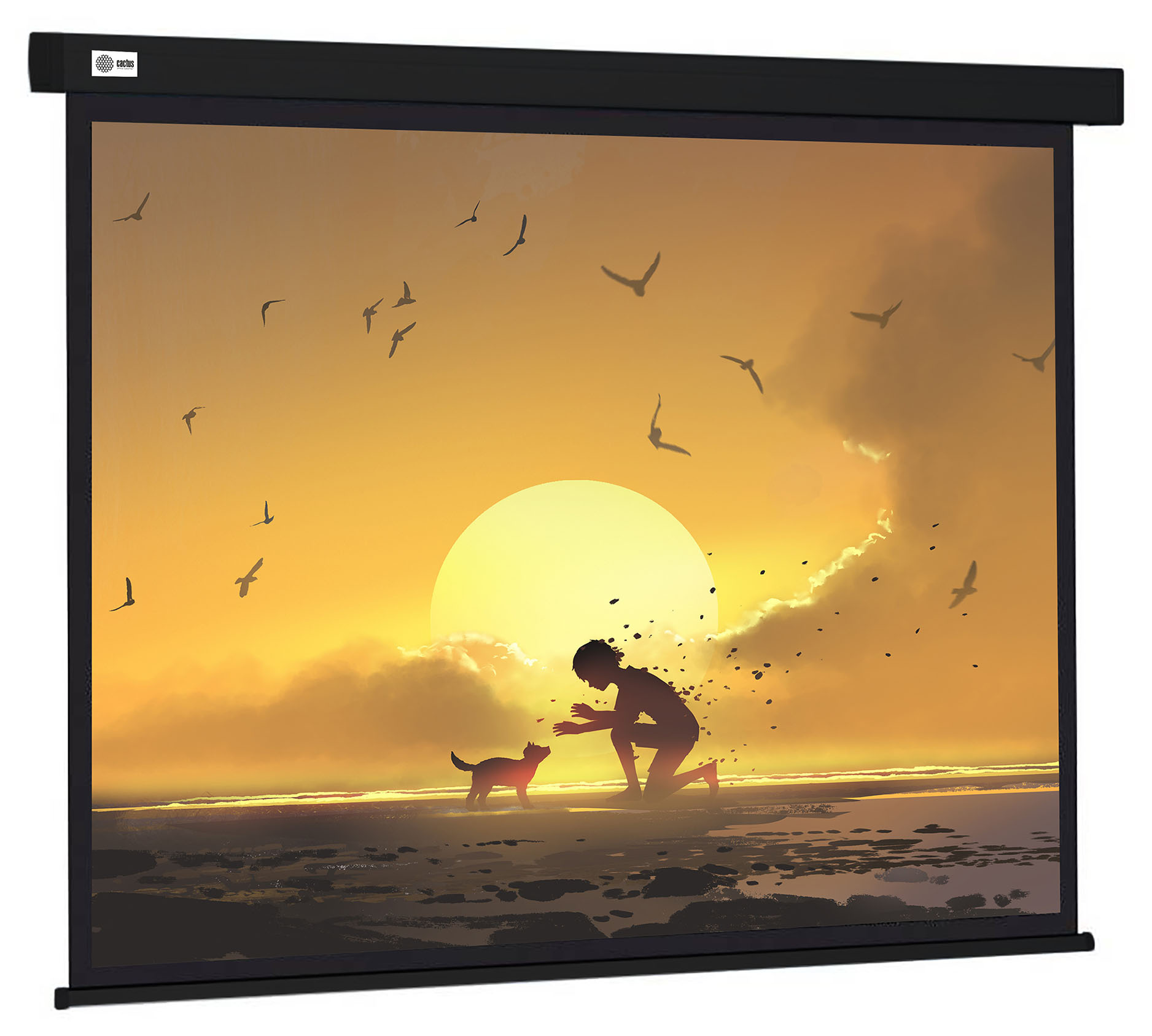 

Экран для проектора рулонный Cactus Wallscreen CS-PSW-150X150-BK, настенно-потолочный, 87" 1:1 150x150см (CS-PSW-150X150-BK), CS-PSW-150X150-BK