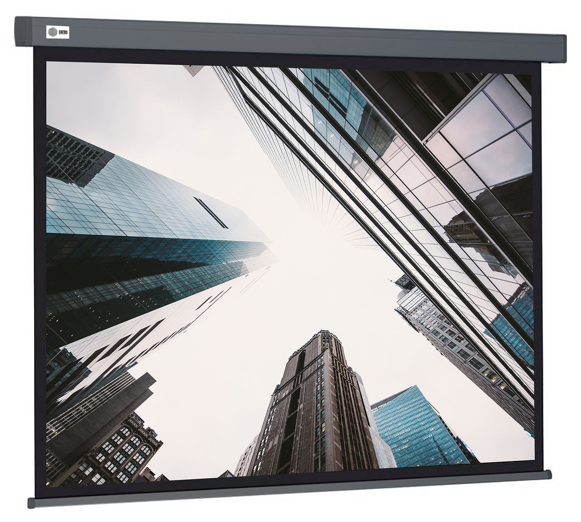 Экран для проектора Cactus CS-PSW-183X244-SG, 124" 4:3 183x244см