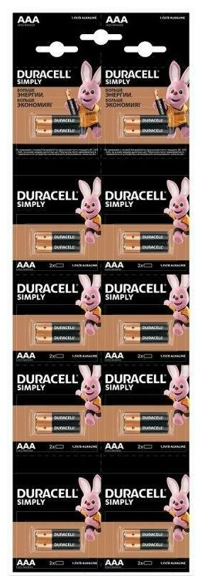 

Батарея Duracell Basic, AAA (LR03/24А), 1.5V, 20шт. (Б0051816)
