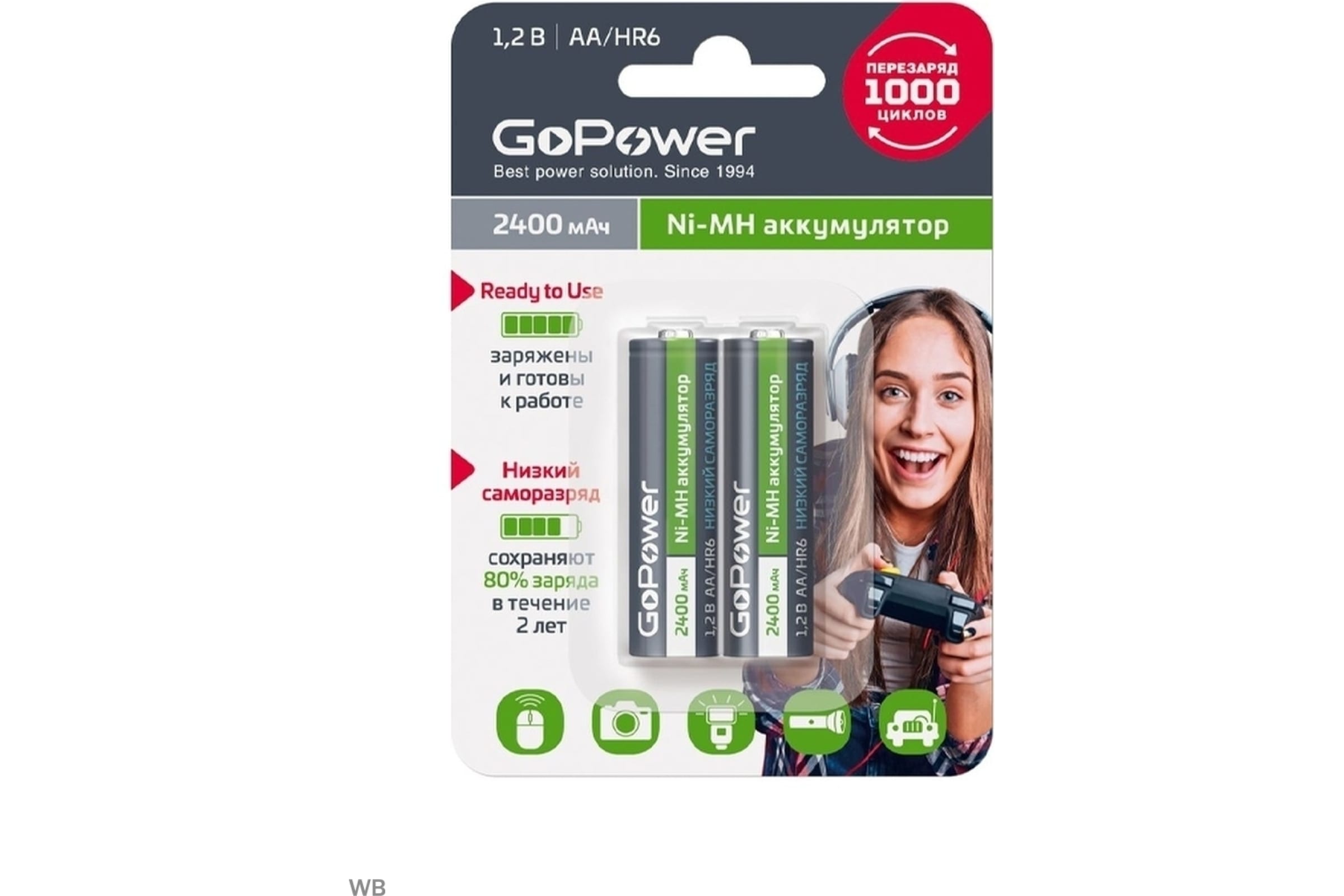 

Аккумулятор GoPower, AA (LR06/15А), 1.2V 2.4 А·ч, 2 шт. (00-00018320)