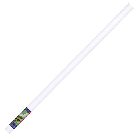 Холст в рулоне BRAUBERG ART CLASSIC 1,6x10 м грунтованный
