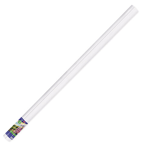 Холст в рулоне BRAUBERG ART CLASSIC 2,1x10 м грунтованный