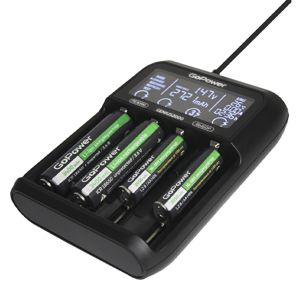 Зарядное устройство для аккумуляторов GoPower Genius 2000
