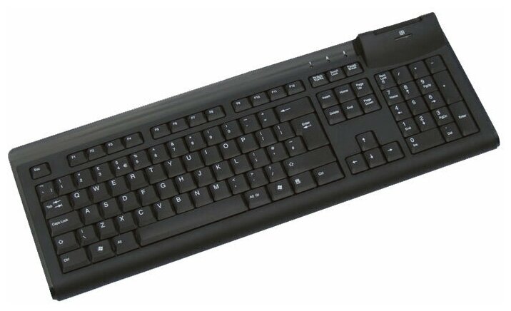 

Клавиатура проводная Acer CHICONY KUS-0967, мембранная, USB, черный (GP.KBD11.01V), CHICONY KUS-0967