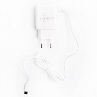

Сетевое зарядное устройство Brera BR003, microUSB, 5V/2A, белый (125881), micro USB, BR003