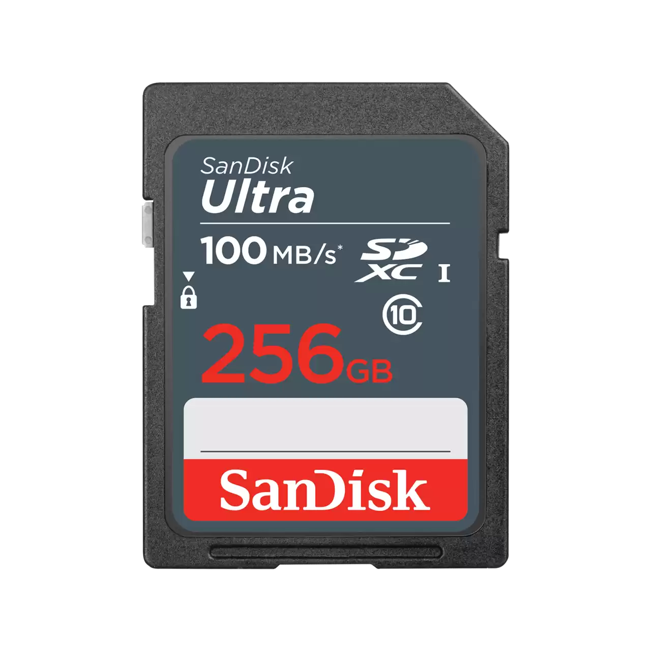 Карта памяти SDHC Sandisk 256Gb (SDSDUNR-256G-GN3IN)
