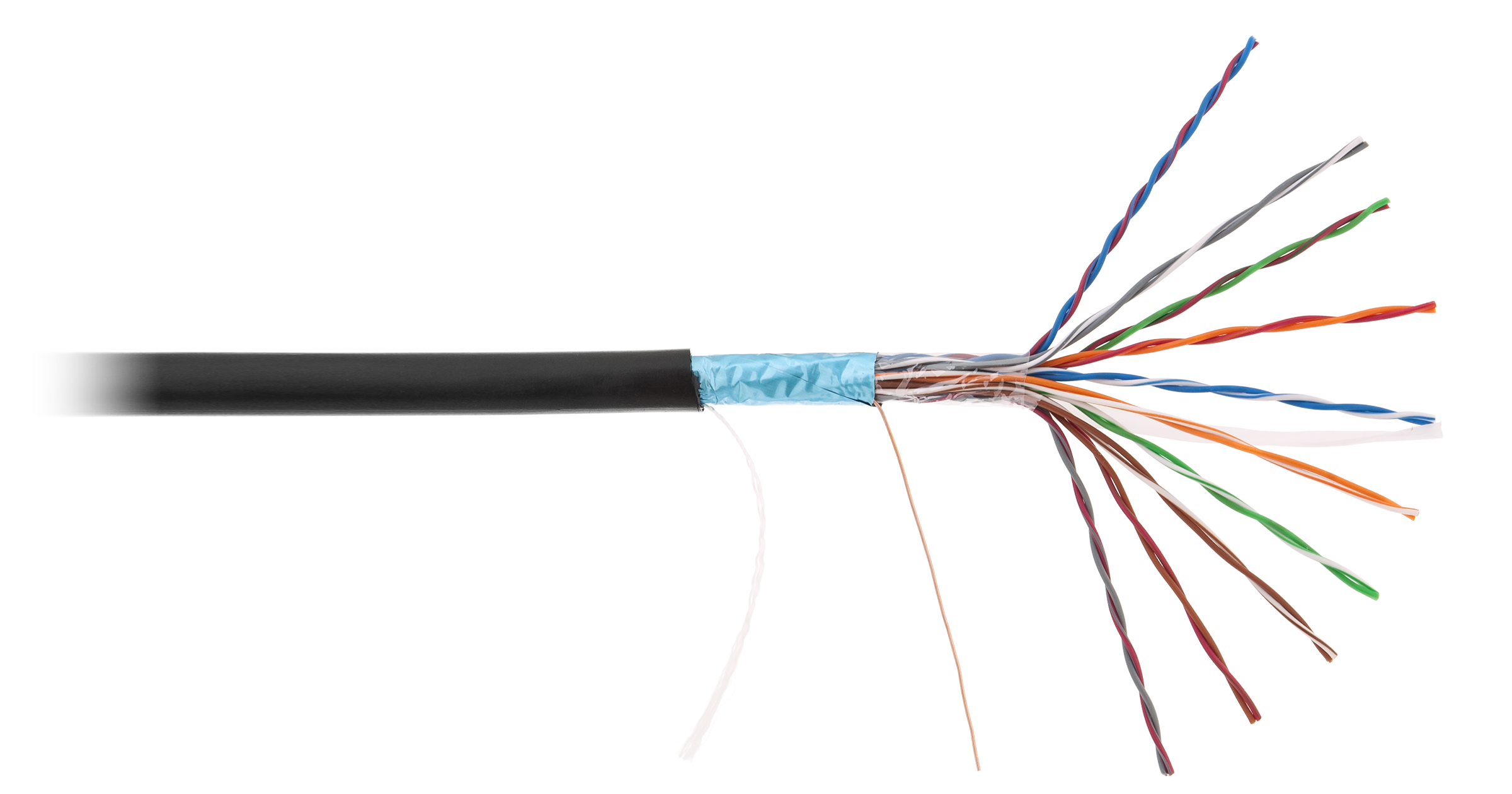 

Витая пара FTP кат.5, 10 пар, CU, 1м., внешний, одножильный, черный, NETLAN (_EC-UF010-5-PE-BK_SL002)