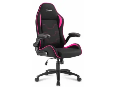 Кресло игровое Sharkoon Elbrus 1 черный/розовый (ELBRUS 1 BK/PK) (Плохая упаковка)
