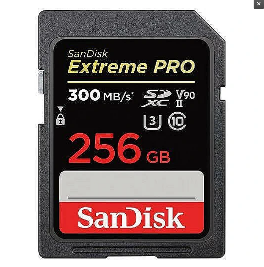 Карта памяти 256Gb SDXC Sandisk Extreme Pro Class 10 UHS-II U3 V90 SDSDXDK-256G-GN4IN 4020000₽