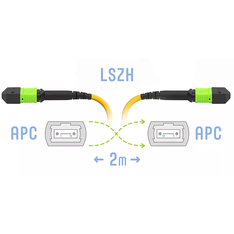 

Патч-корд оптический SNR SNR-PC-MPO/APC-MPO/APC-FF-SM-12F-2m, MPO/APC-MPO/APC, одномодовый, 12 волокон, 2м, желтый (SNR-PC-MPO/APC-MPO/APC-FF-SM-12F-2m), SNR-PC-MPO/APC-MPO/APC-FF-SM-12F-2m