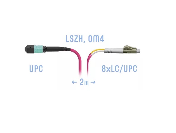 

Патч-корд оптический SNR SNR-PC-MPO/UPC-8LC/UPC-DPX-MM4-2m, MPO/UPC-8xLC/UPC, 50/125, OM4, 8 волокон, 2м, бирюзовый (SNR-PC-MPO/UPC-8LC/UPC-DPX-MM4-2m), SNR-PC-MPO/UPC-8LC/UPC-DPX-MM4-2m