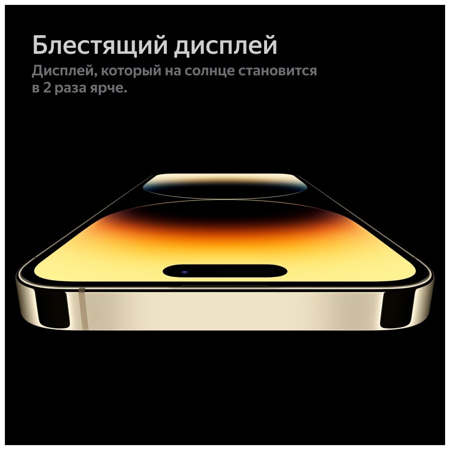 Смартфон Apple iPhone 14 Pro Max/256Gb iOS золотистый (MQ9D3J/A), 1131180  купить в Омске в интернет-магазине e2e4