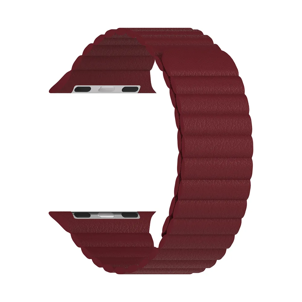 

Ремешок Lyambda Pollux для Apple Watch, 42-44 мм, кожаный, бордовый (DSP-24-44-WR)