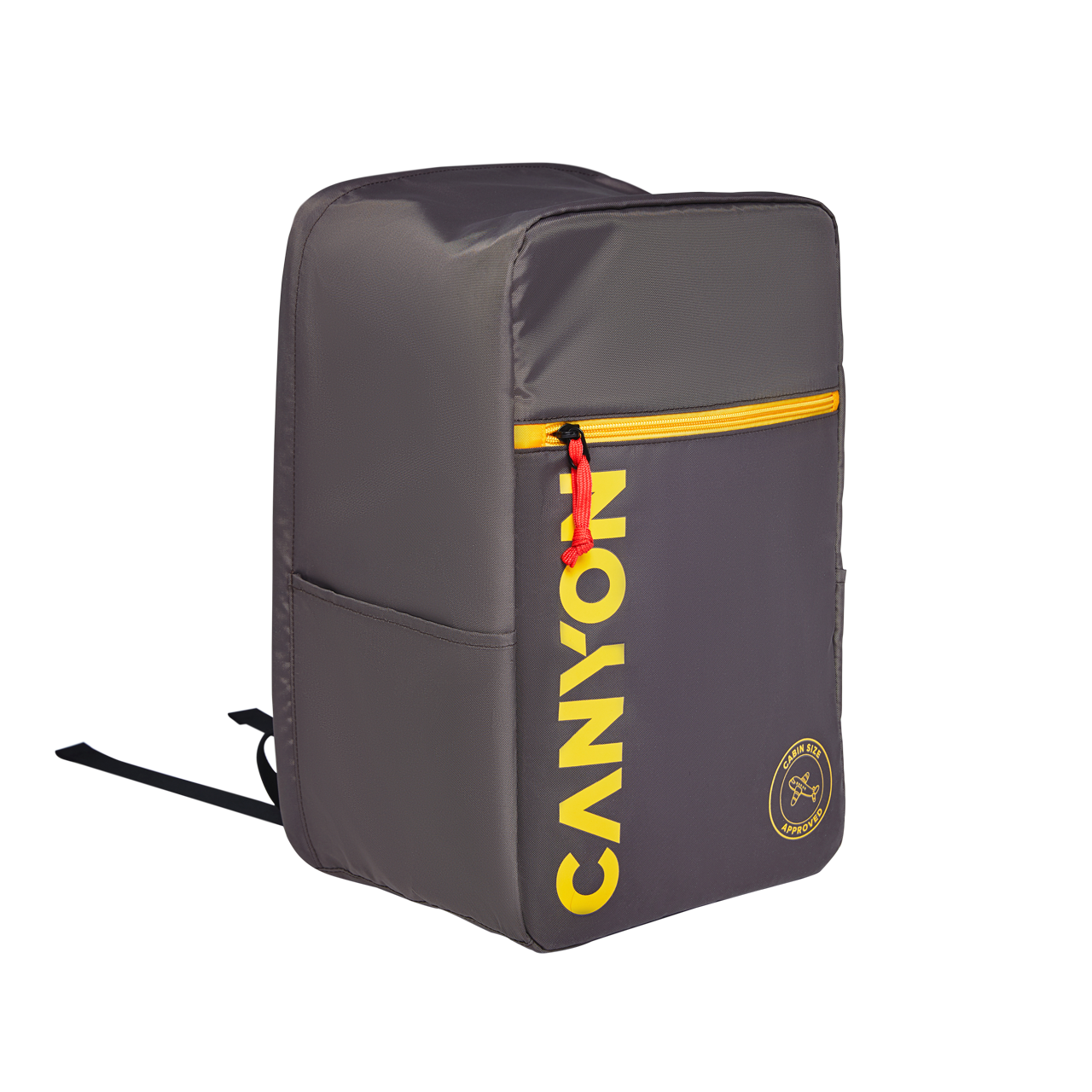 

15.6" Рюкзак CANYON CSZ-02, серый (CNS-CSZ02GY01), CSZ-02