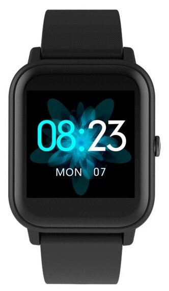 

Смарт-часы Blackview R3, 1.3" TFT, черный (R3 Black), R3