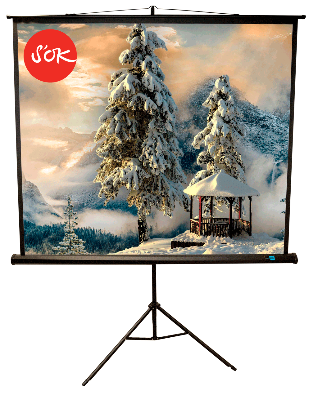 

Экран для проектора на треноге S'OK Cinema SCPST-200x200BLCK, напольный, 111" 1:1 200x200 MW (SCPST-200x200BLCK), SCPST-200x200BLCK