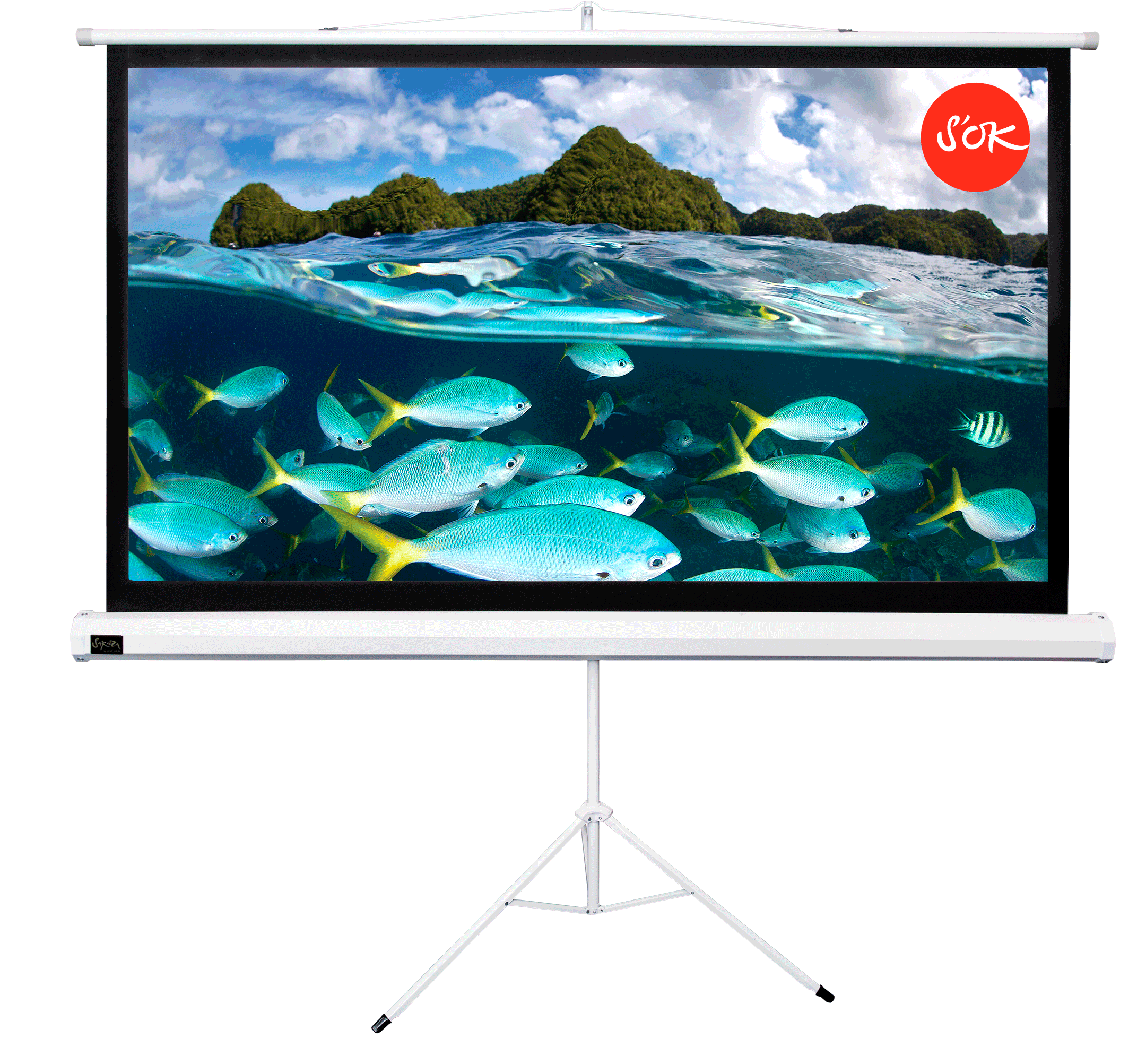 Экран для проектора S'OK SCPST-180x135, 90" 4:3 180x135