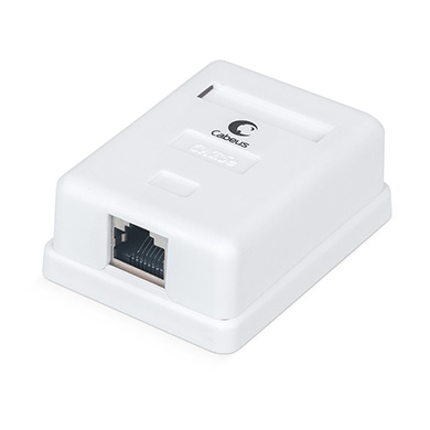 Розетка RJ-45 открытый монтаж категория 5e, экранированная, Dual IDC, белый, Cabeus WS-8P8C-Cat.5e-SH-1 (WS-8P8C-Cat.5e-SH-1)